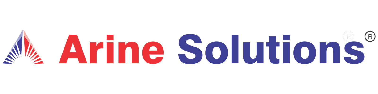 Arine Solutions Private Limited | Website Development, Social Media and SEO Services
